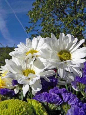20070904224005-flores.jpg