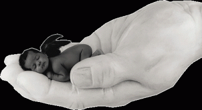 20090325021838-animation111rr-1-.gif